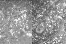 The Effectiveness of LSCM and ReIA for Surface Roughness Analysis of Experimental Mistassini Quartzite Scrapers