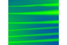 Studying the Electro mechanical Behavior of Thin Films